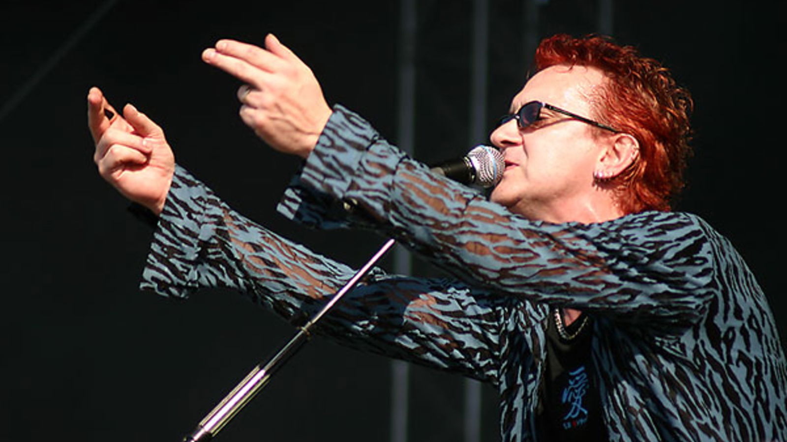 Wayne Hussey / The Mission