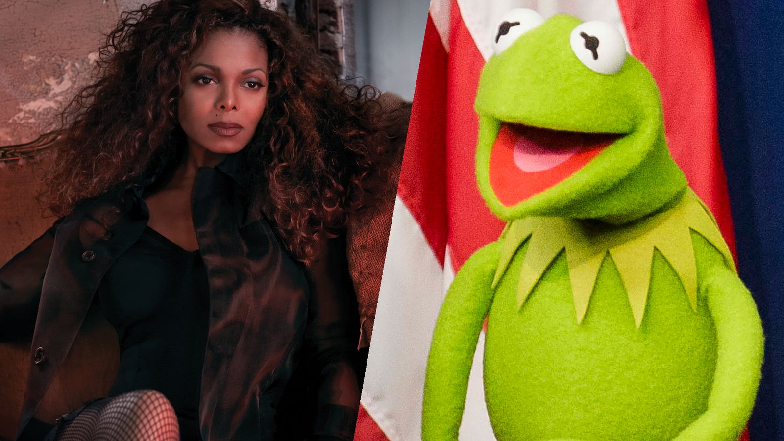 Janet jackson & Kermit