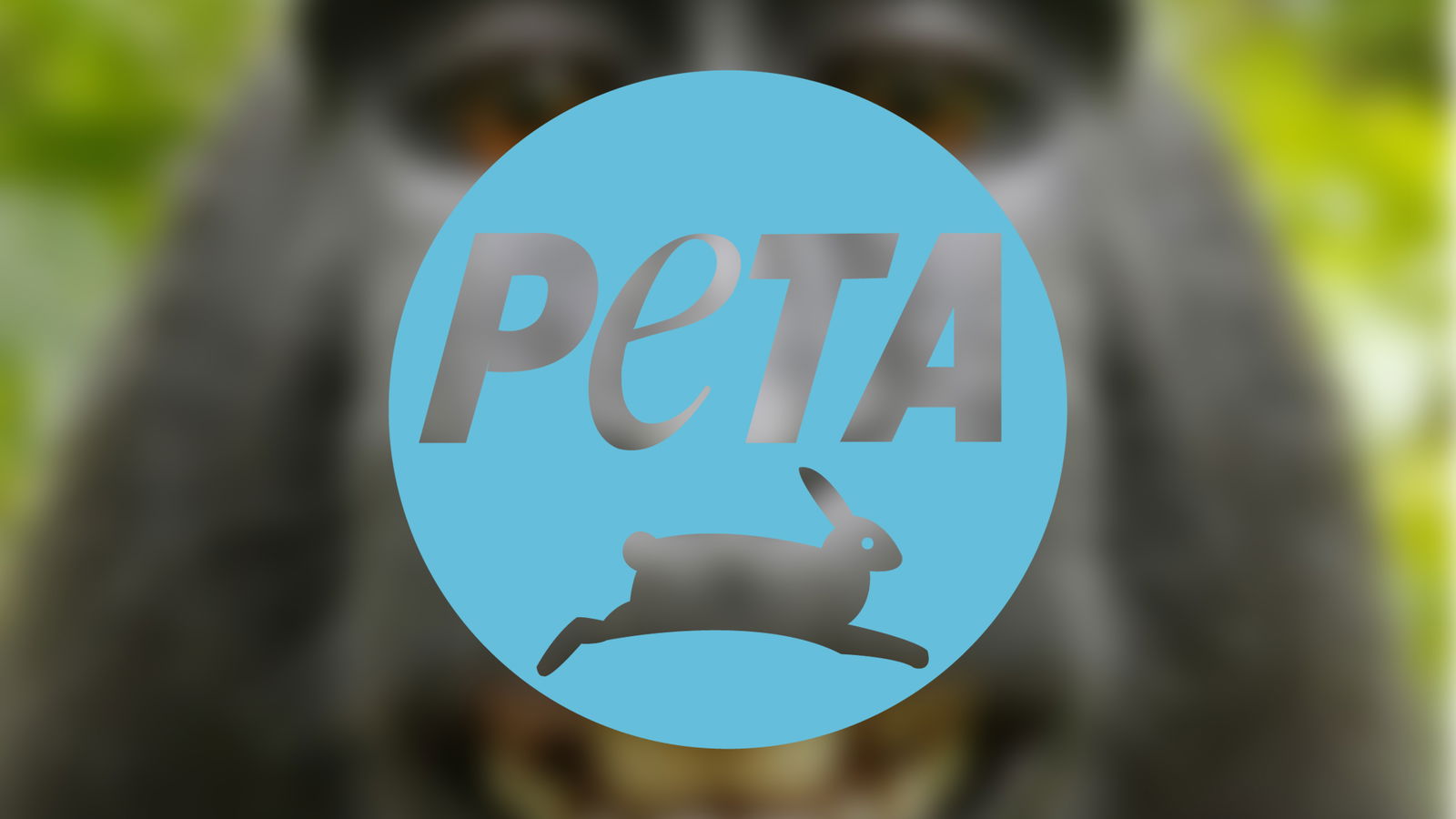 PETA-Logo & Macaca