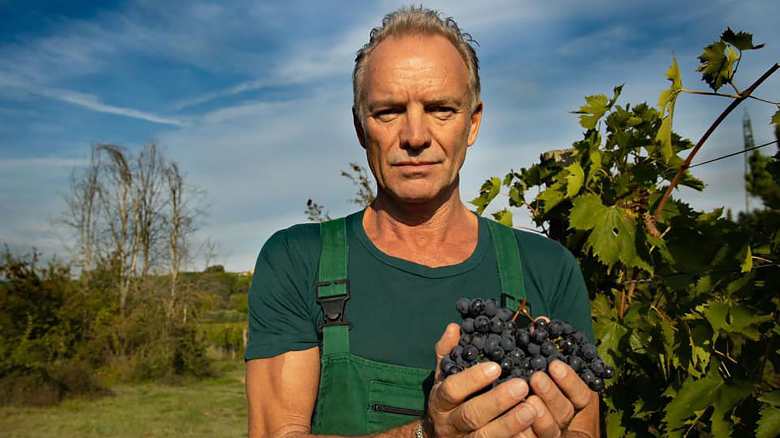 Sting auf seinem Weingut "Tenuta il Palagio" in der Toskana