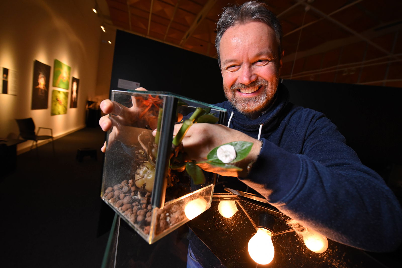 Dr. Peter Jäger mit der Spinne Heteropoda davidbowie