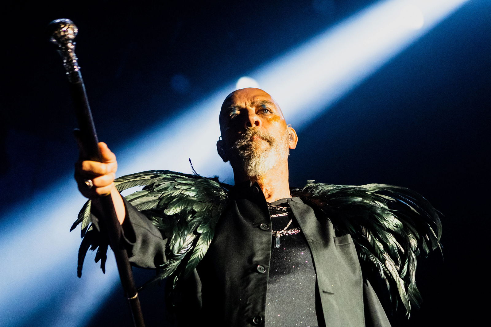 Peter Murphy (Bauhaus)