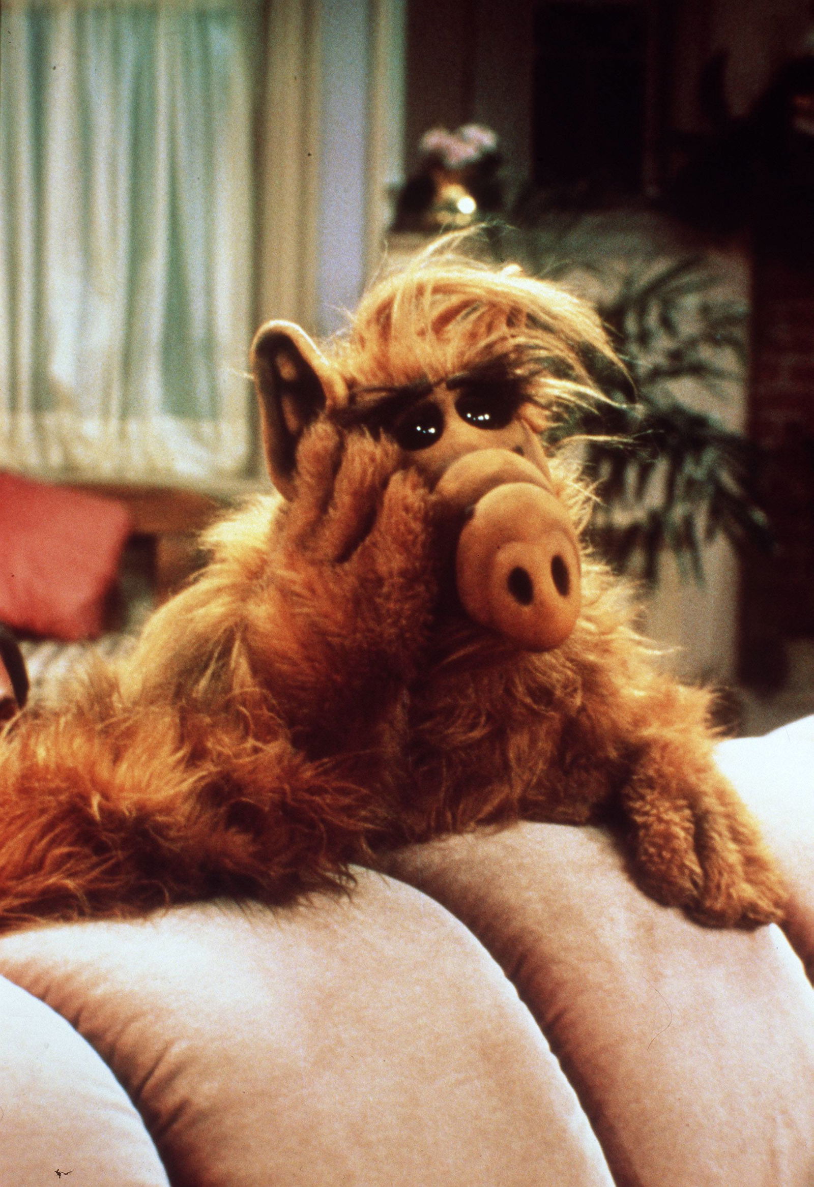 Alf (1986)