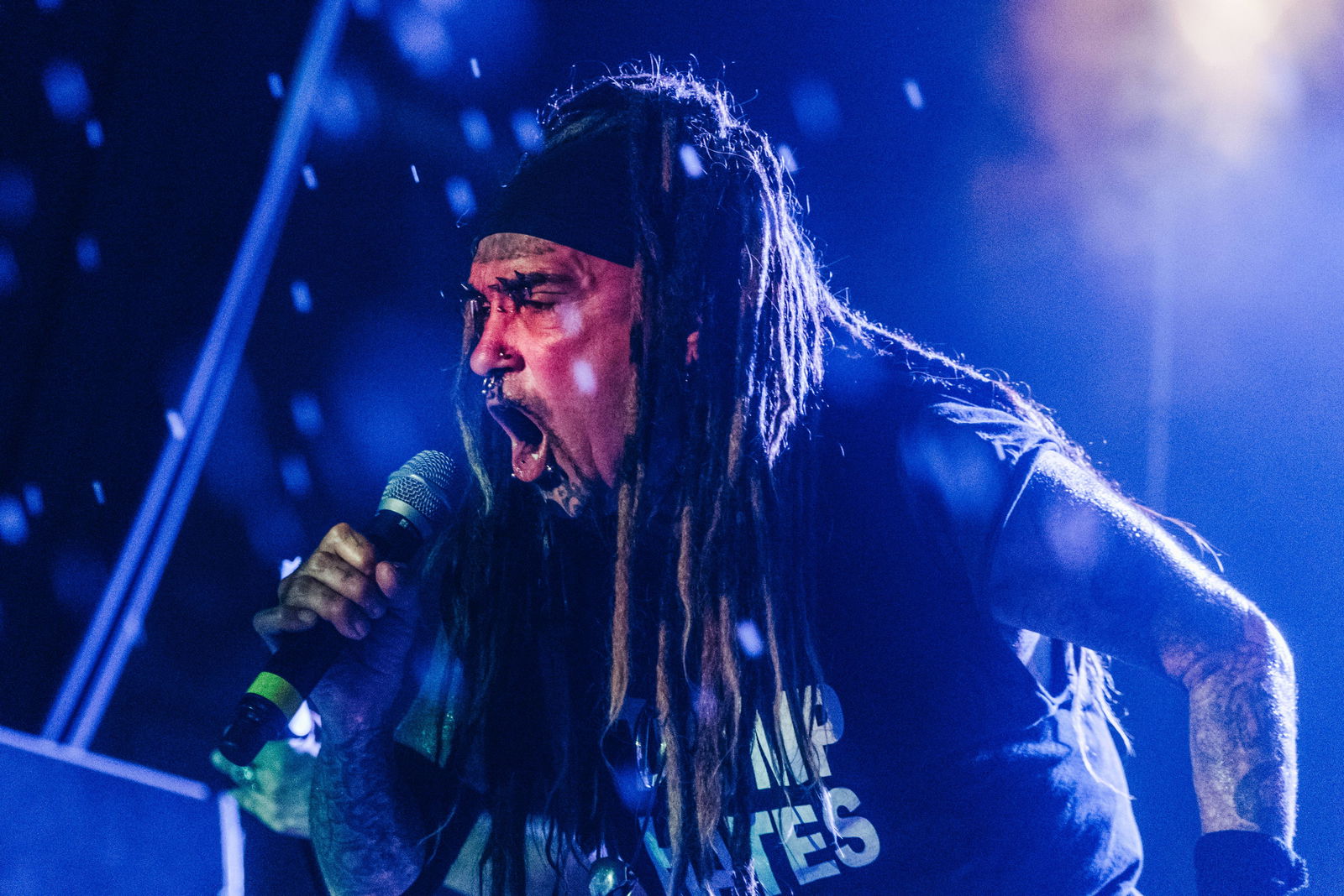 Al Jourgensen (2019)