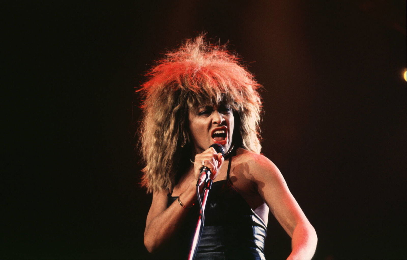 Tina Turner (1989)