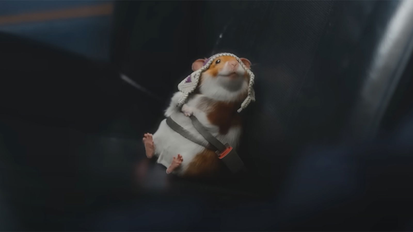 "Harry der Hamster" als George Michael im "Last Christmas"-Werbespot