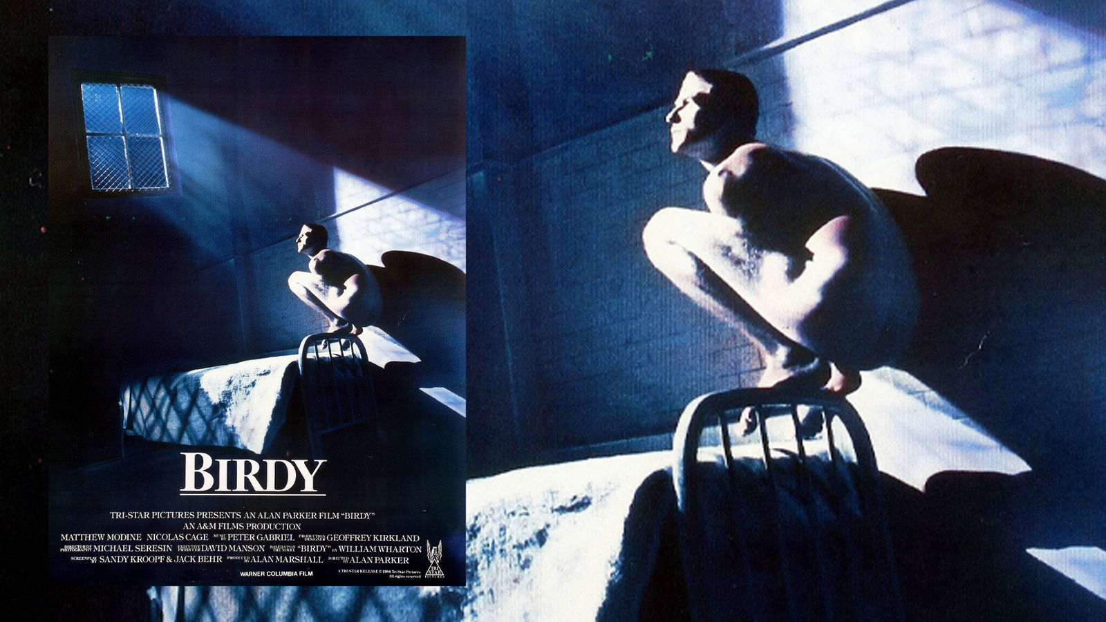 Matthew Modine Poster Film: Birdy (1981)