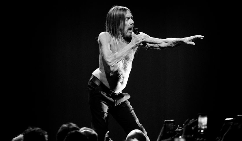 Iggy Pop 