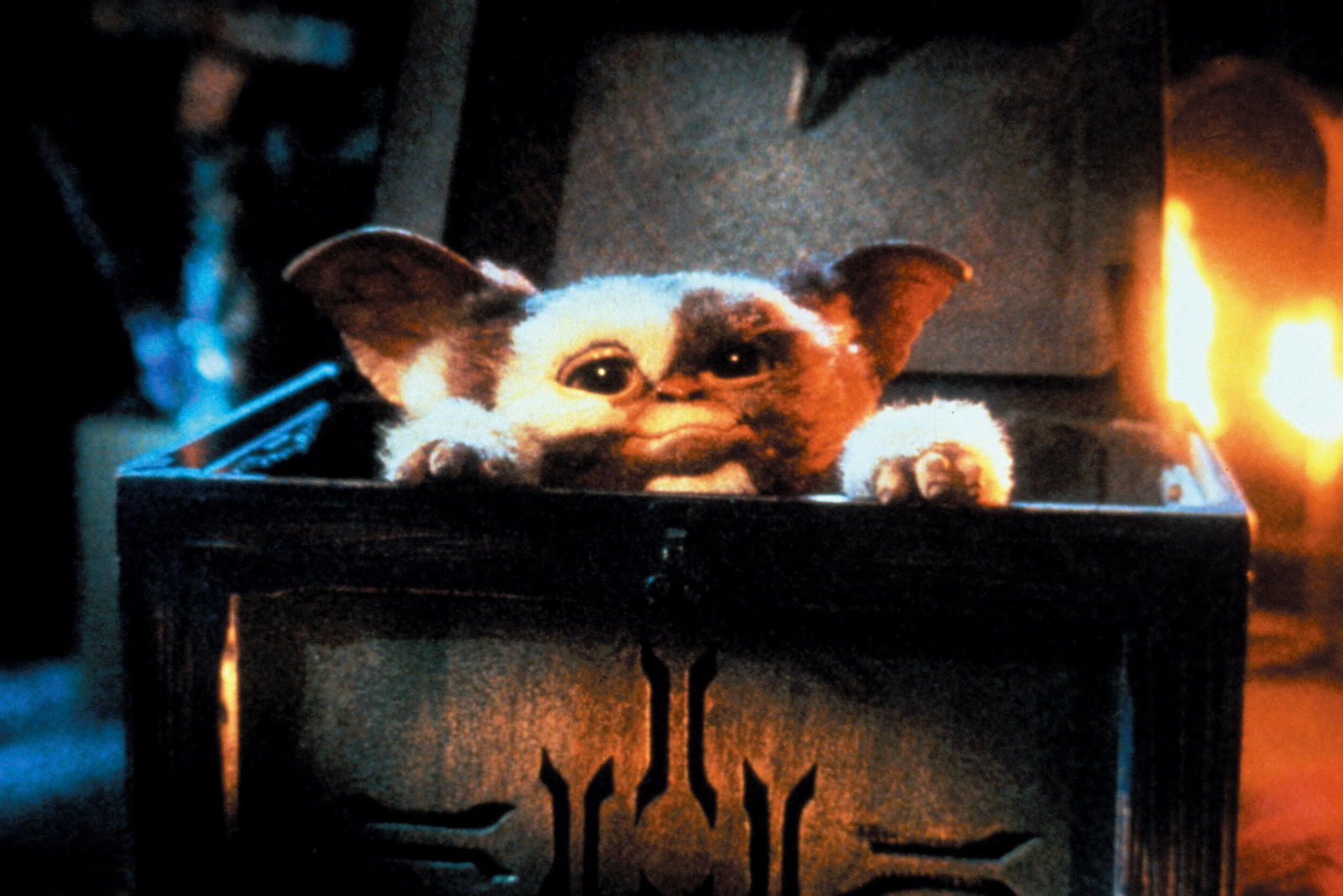 Gizmo 1984 in "Gremlins"