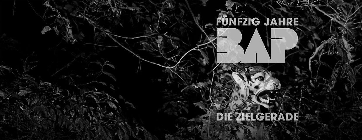 BAP 50 Jahre - Die Zielgerade