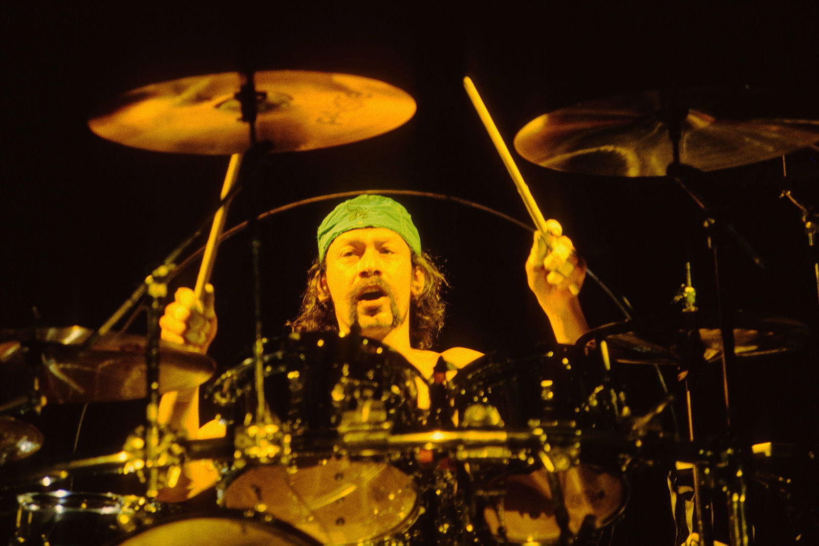 Alex van Halen (2020)