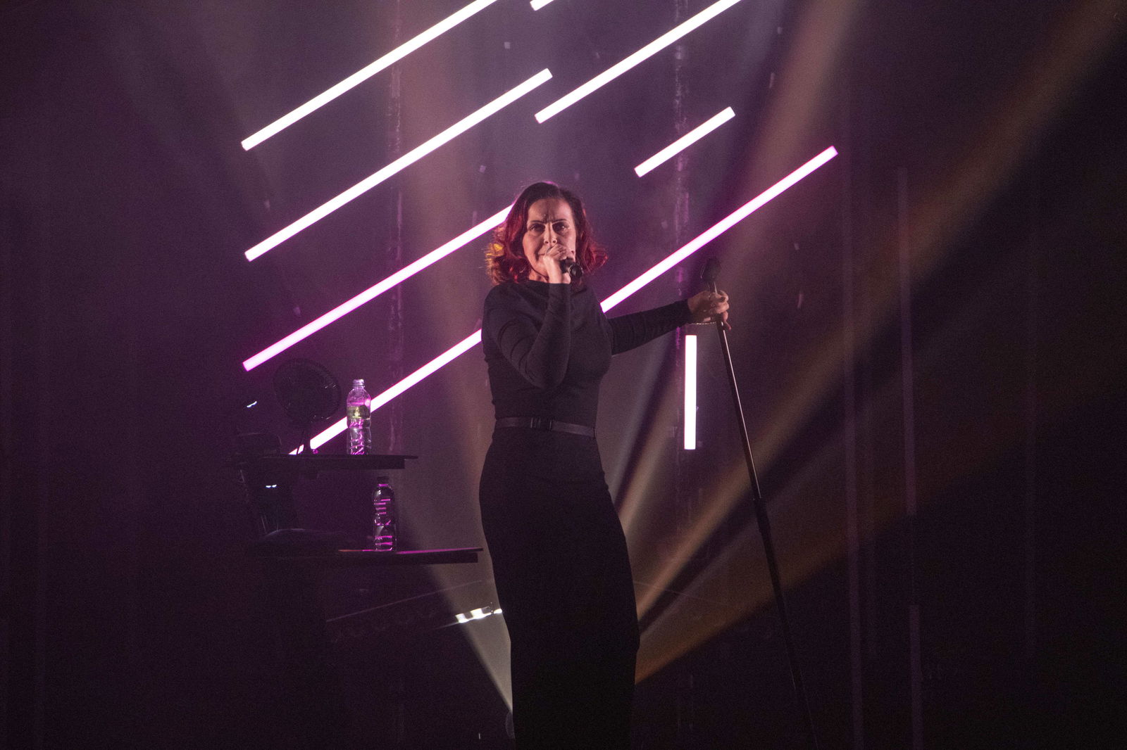 Alison Moyet (2019)