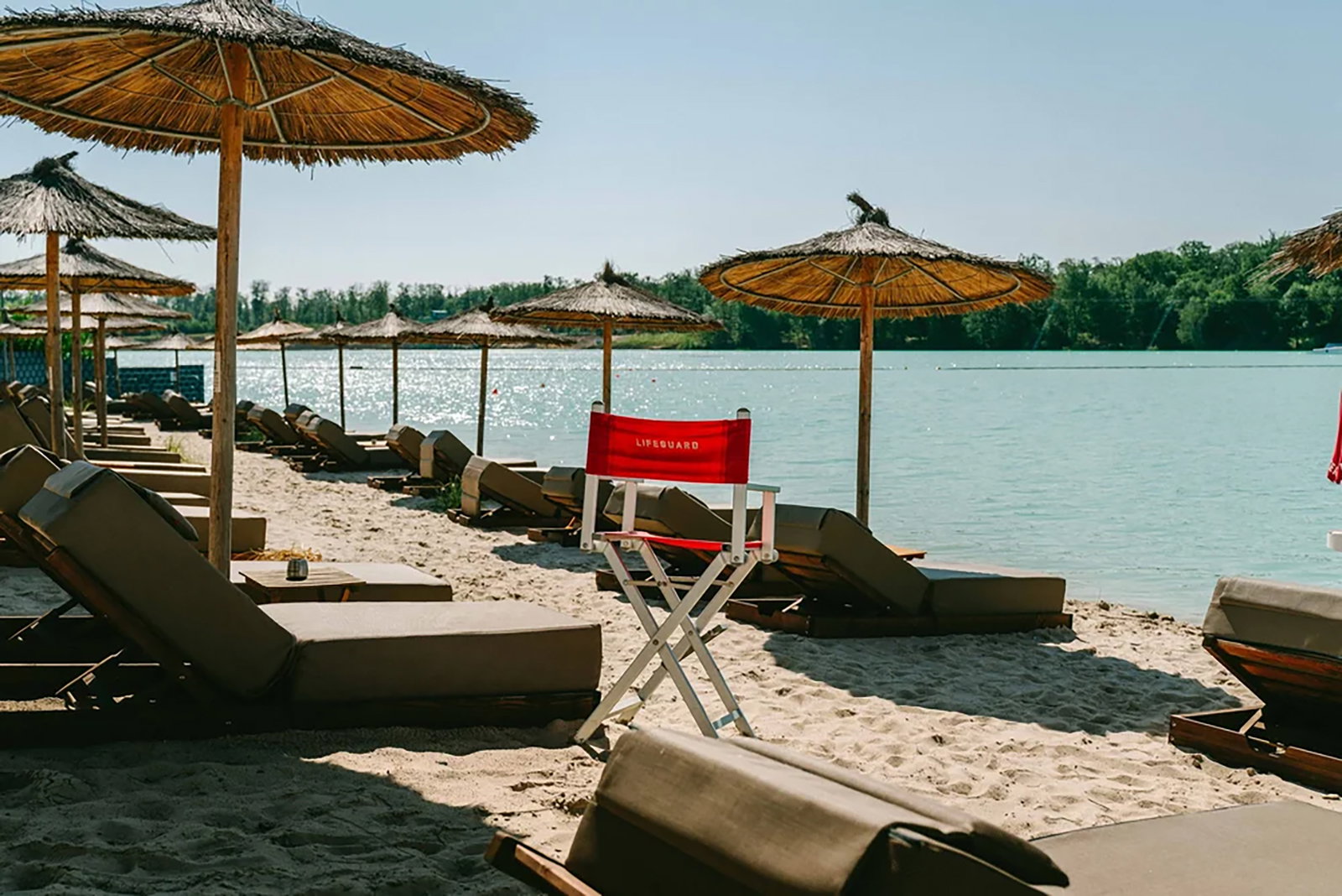 Chamäleon am See, Raunheim