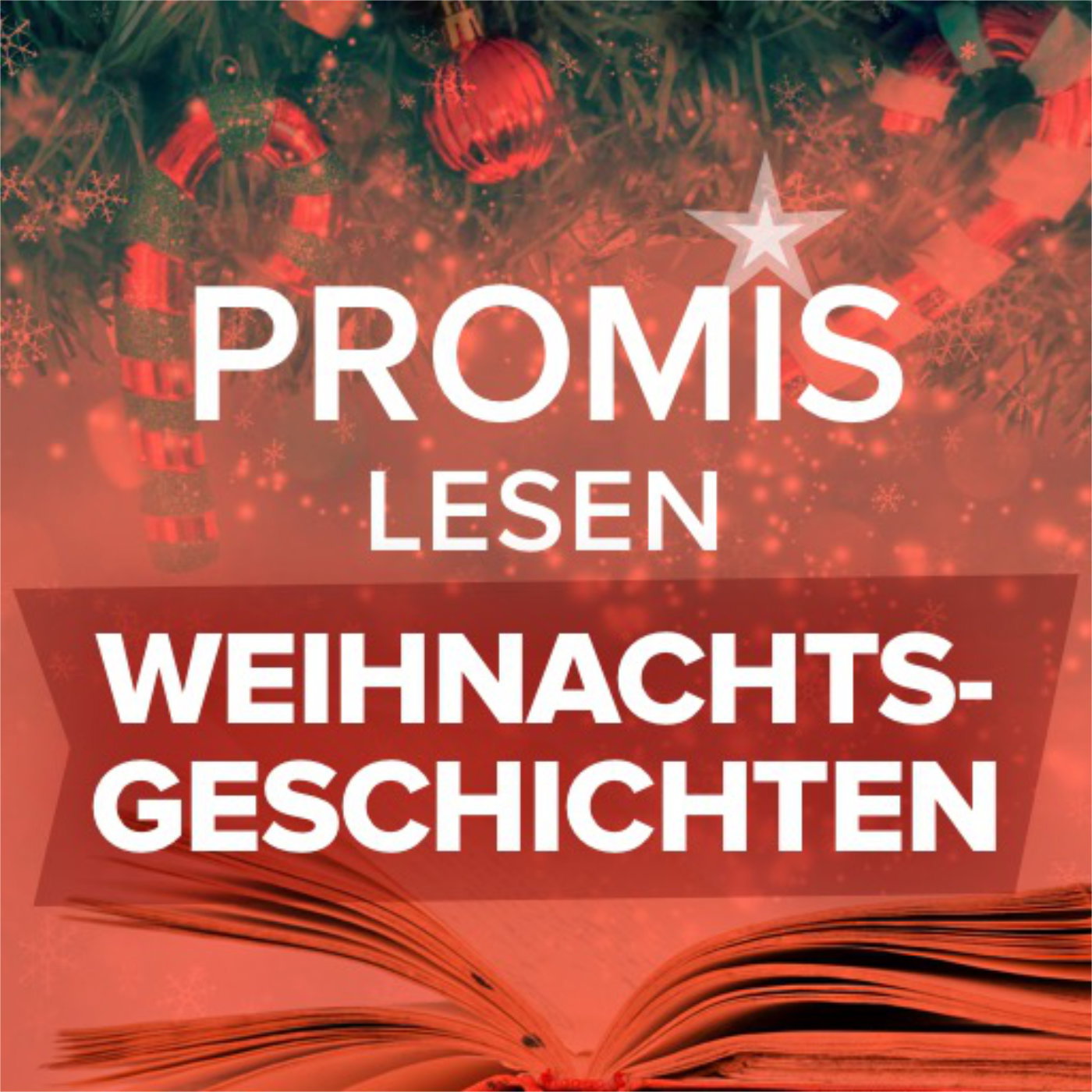 Promis lesen Weihnachtsgeschichten