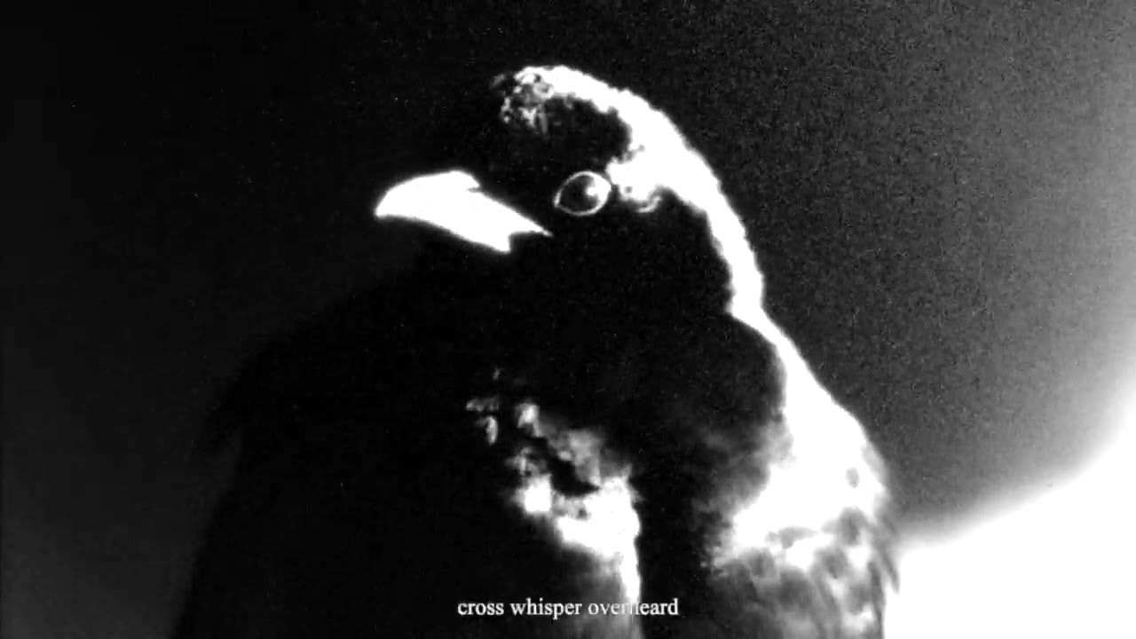 MG x CD + JL = - Cross Whisper (Official Video)