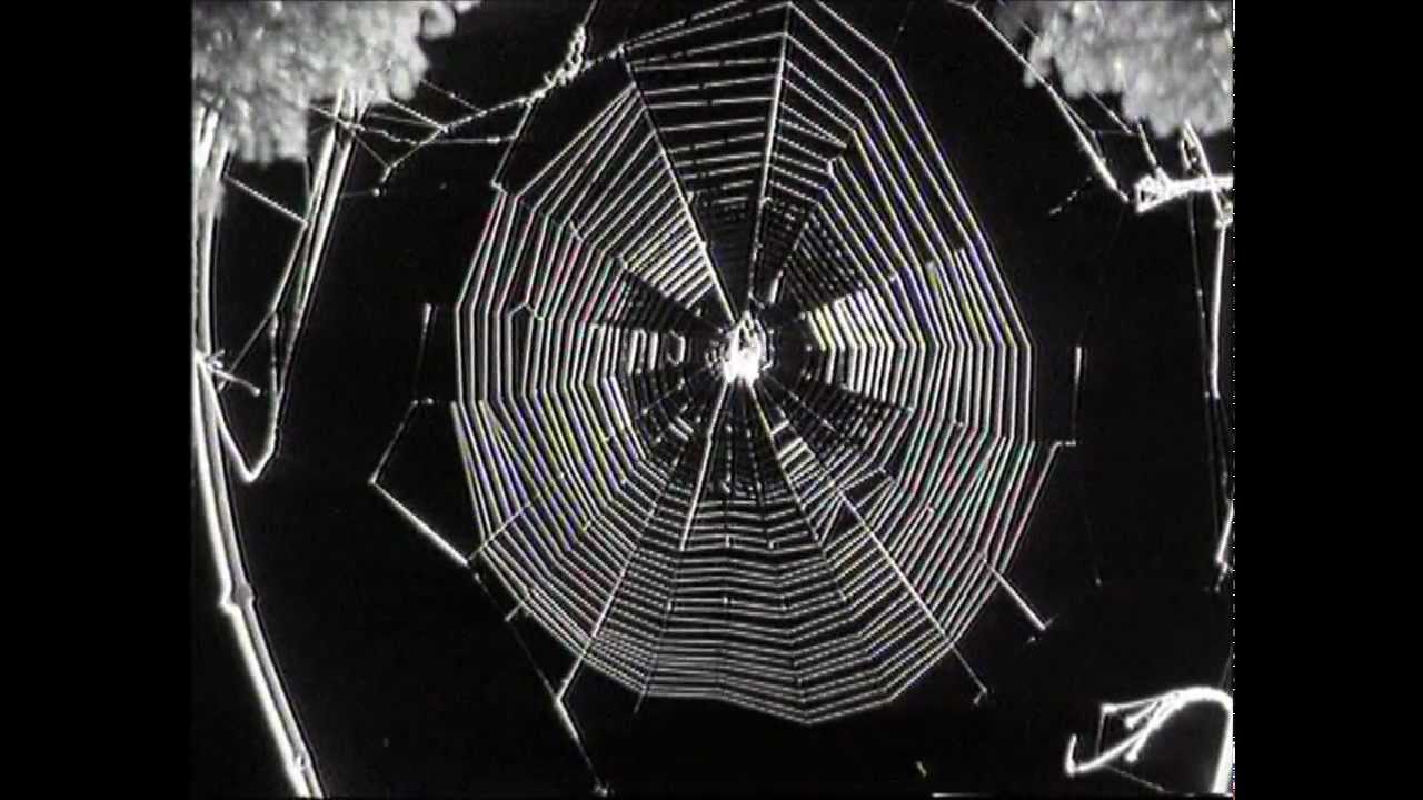 The Young Gods - Skinflowers