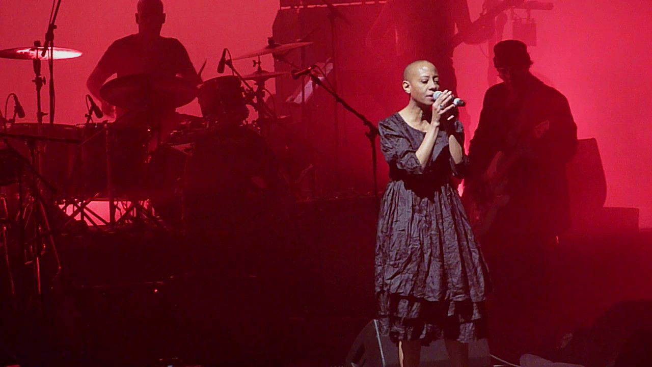 Celebrating David Bowie Highlights