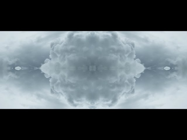 Held By Trees // Hinterland Soul - Film by Gareth Hayward