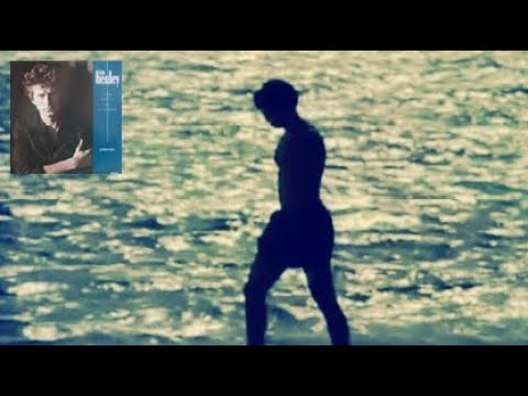 Don Henley - The Boys of Summer