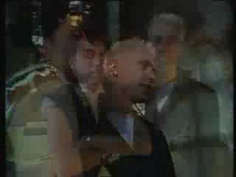 Die Ärzte "Schrei Nach Liebe"