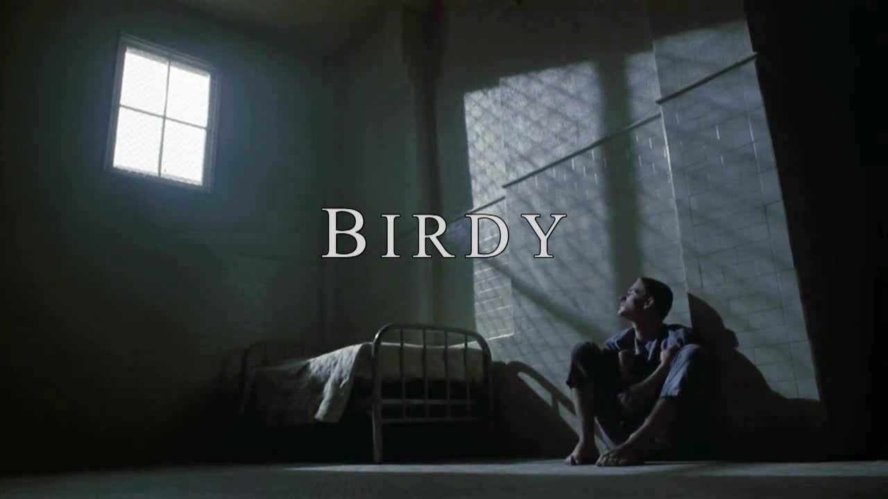 Peter Gabriel - Underlock and Key (from the movie "Birdy", 1984)